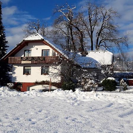 Apartma Anton Bled Bagian luar foto